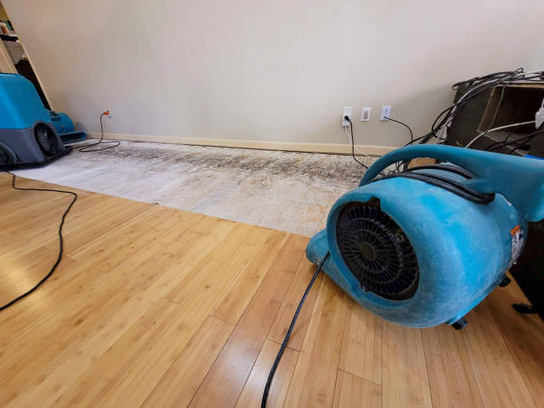 Professional Structural Drying technician working in Onsted, MI